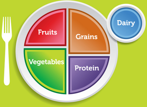 Read more about the article The 4 week dietmy.com Low Calorie Diet for weight loss