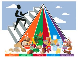 Read more about the article Portion Sizes